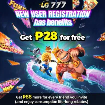 BR335 BR335